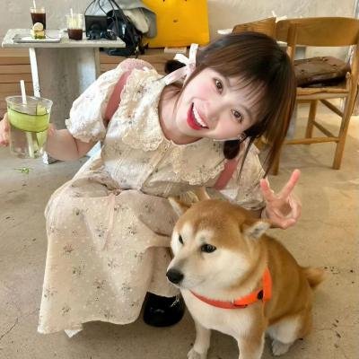 花篮花儿香